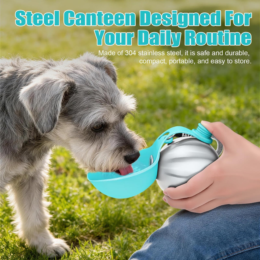 Dog Essentials