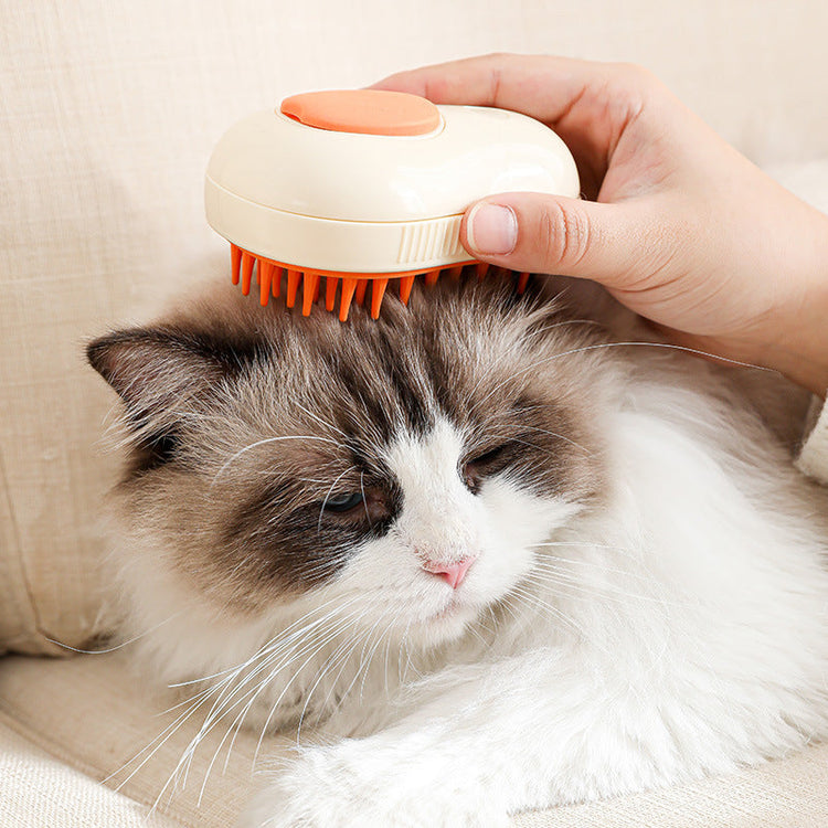 Cat Essentials